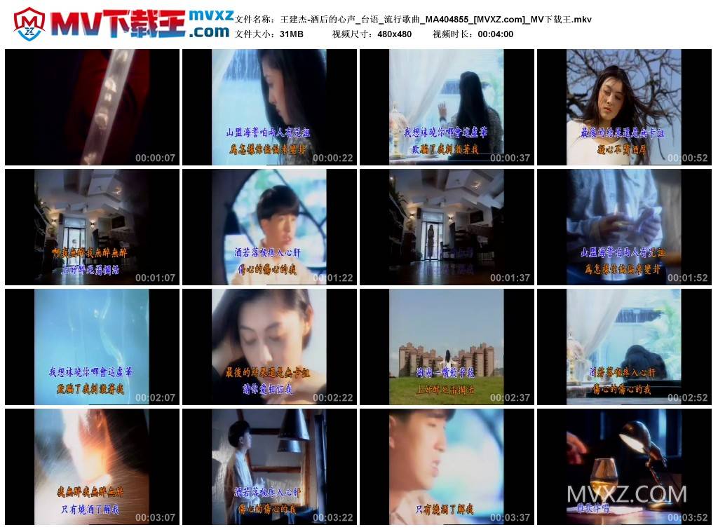 王建杰-酒后的心声_台语_流行歌曲_MA404855